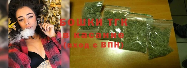 мдпв Кодинск