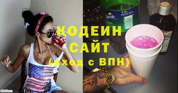 мдпв Кодинск
