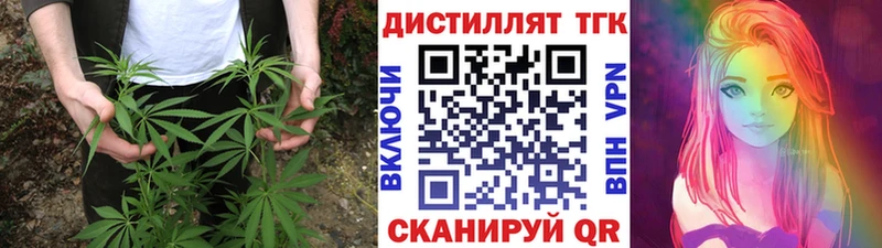 Купить где  Тара  Дистиллят ТГК Wax 